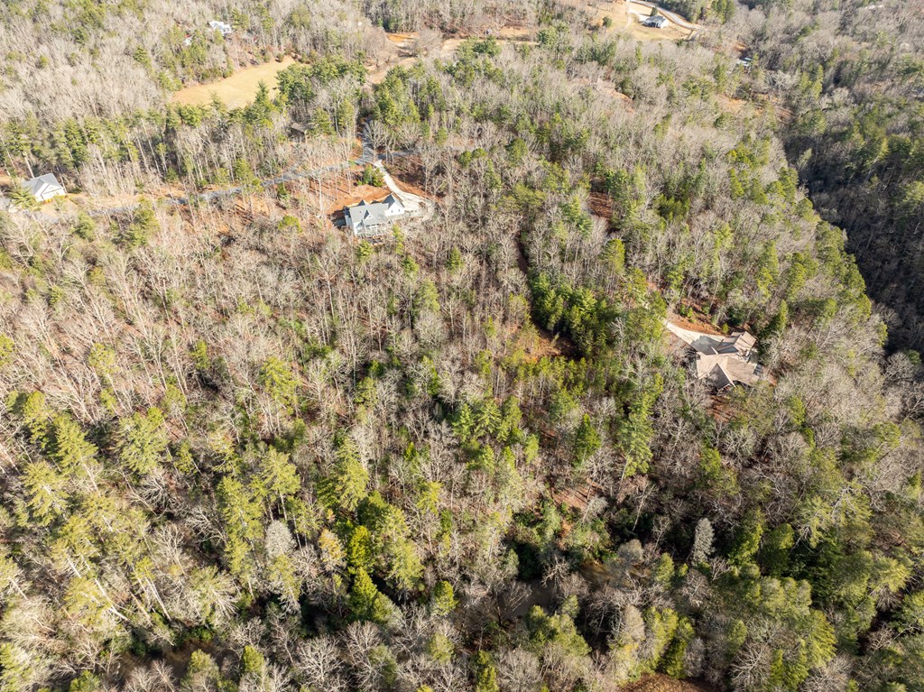 35LT Mill Creek Trail