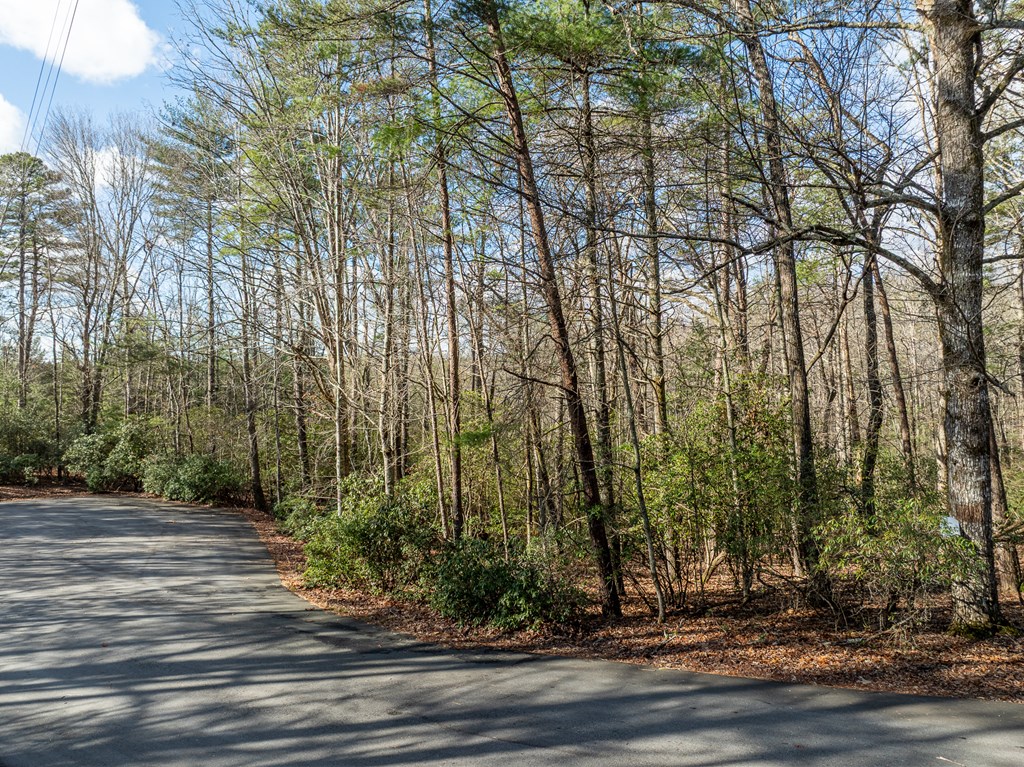 35LT Mill Creek Trail