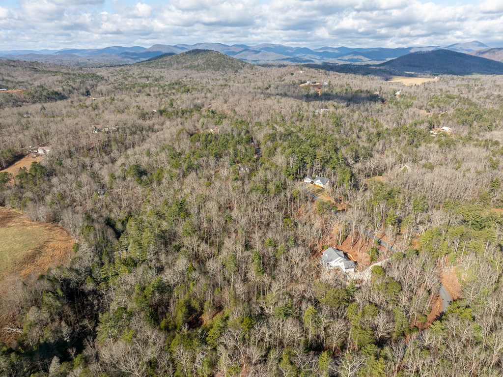 35LT Mill Creek Trail