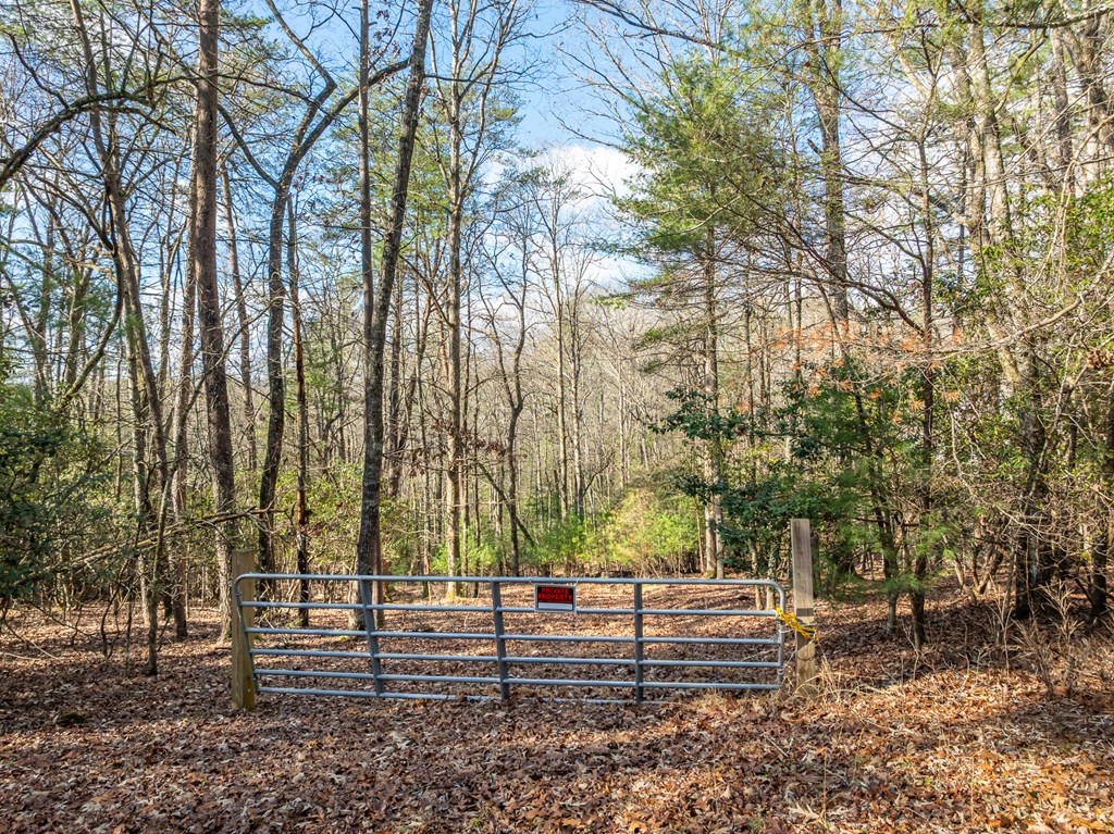 35LT Mill Creek Trail