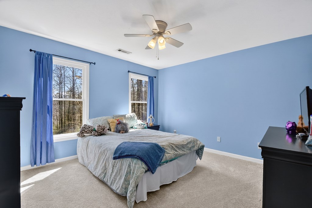 175 Mountain Springs Road