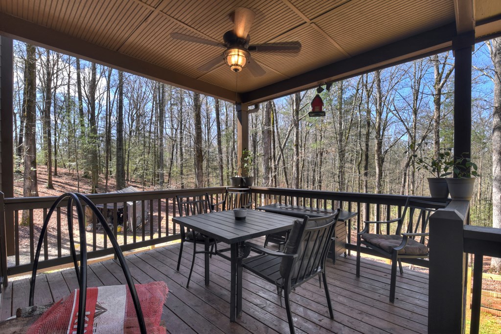 175 Mountain Springs Road