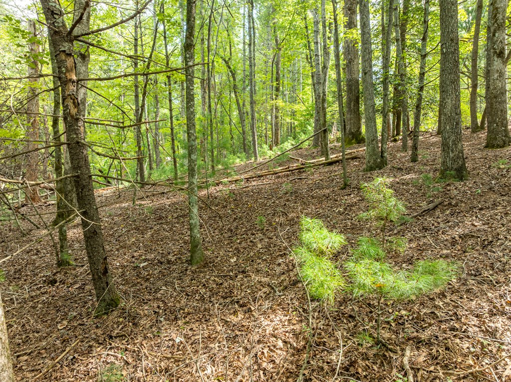 Lot 272 Seneca Drive
