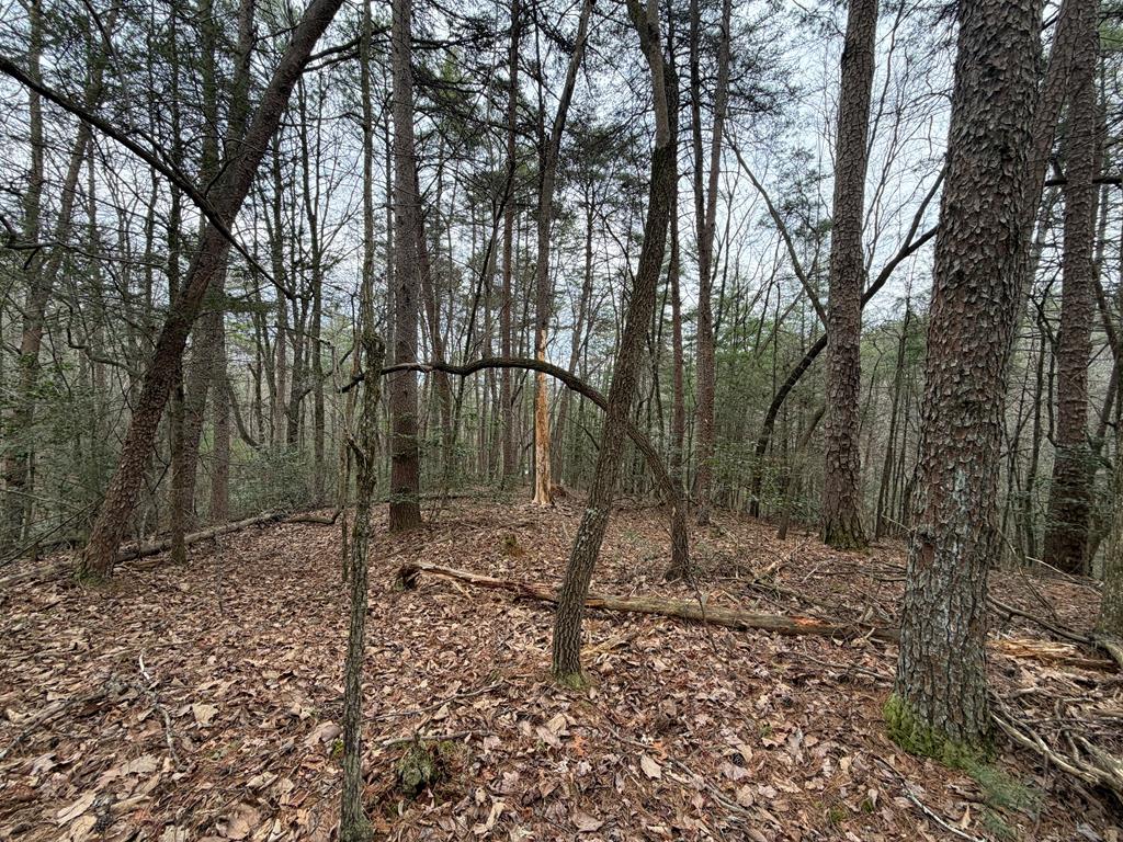 17.29 ac Pleasant Oak Trail