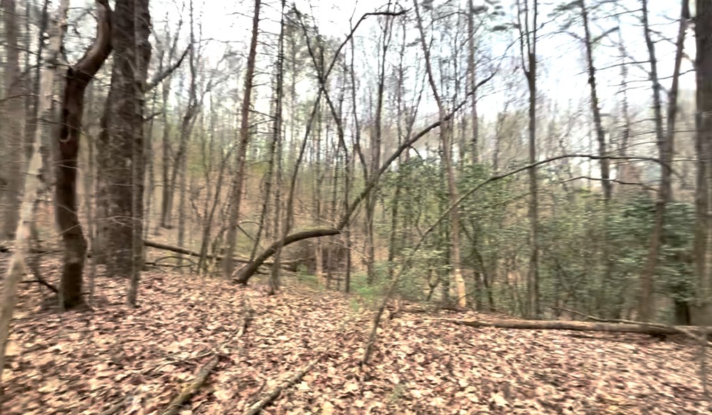 17.29 ac Pleasant Oak Trail