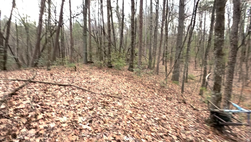 17.29 ac Pleasant Oak Trail