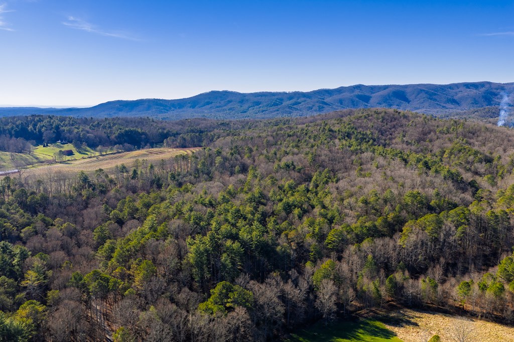 17.29 ac Pleasant Oak Trail