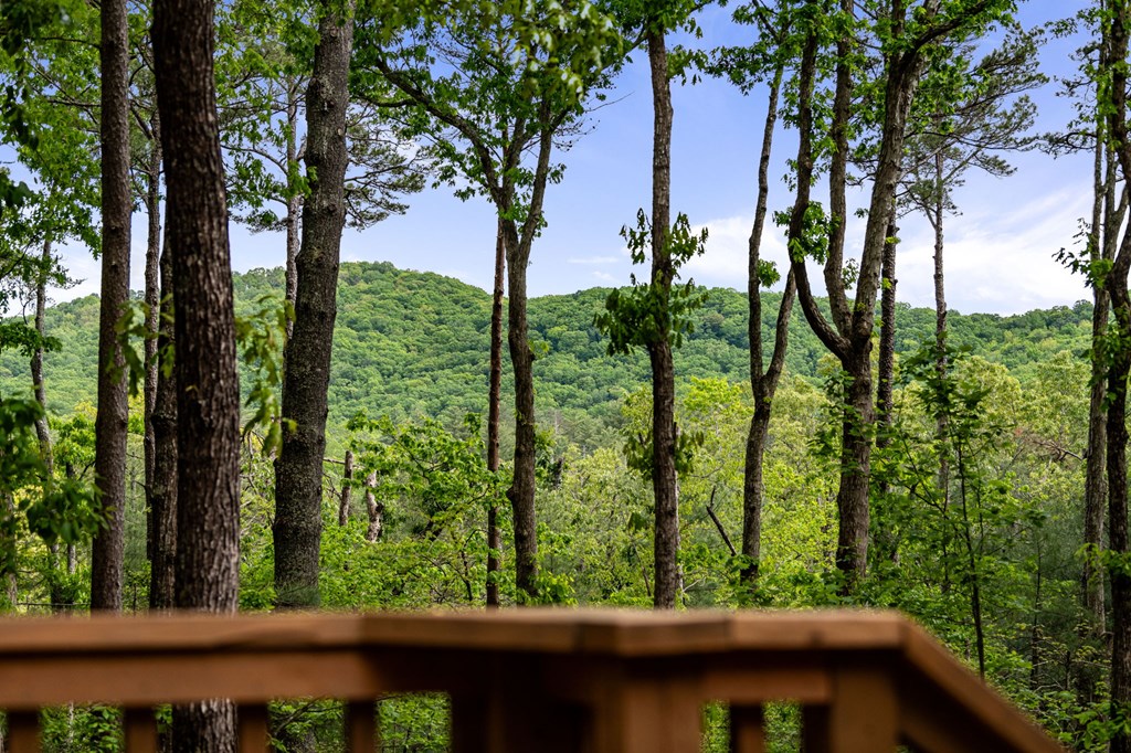 245 Old Anderson Creek