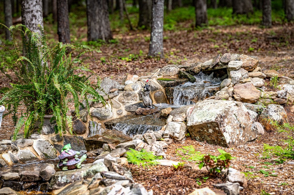 245 Old Anderson Creek