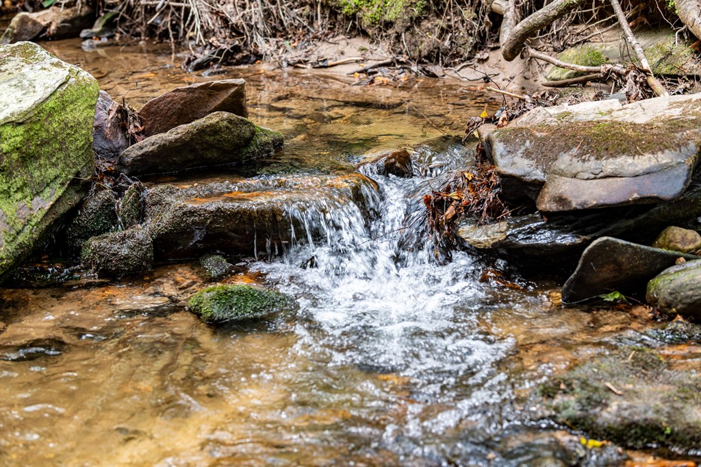 245 Old Anderson Creek