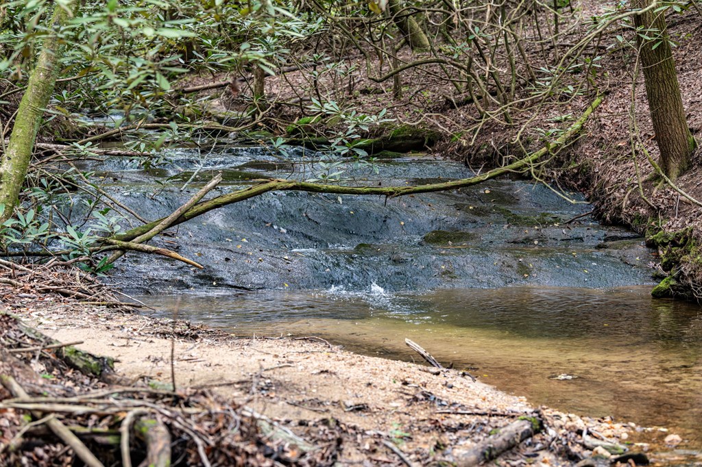 245 Old Anderson Creek