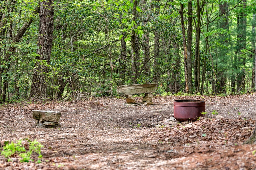 245 Old Anderson Creek