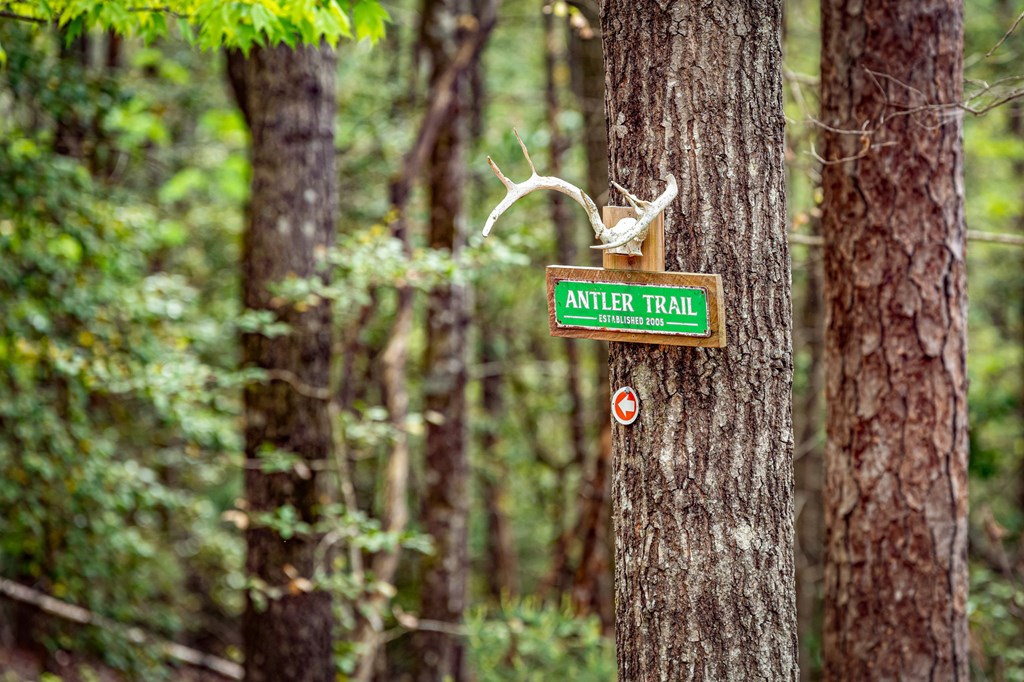 245 Old Anderson Creek