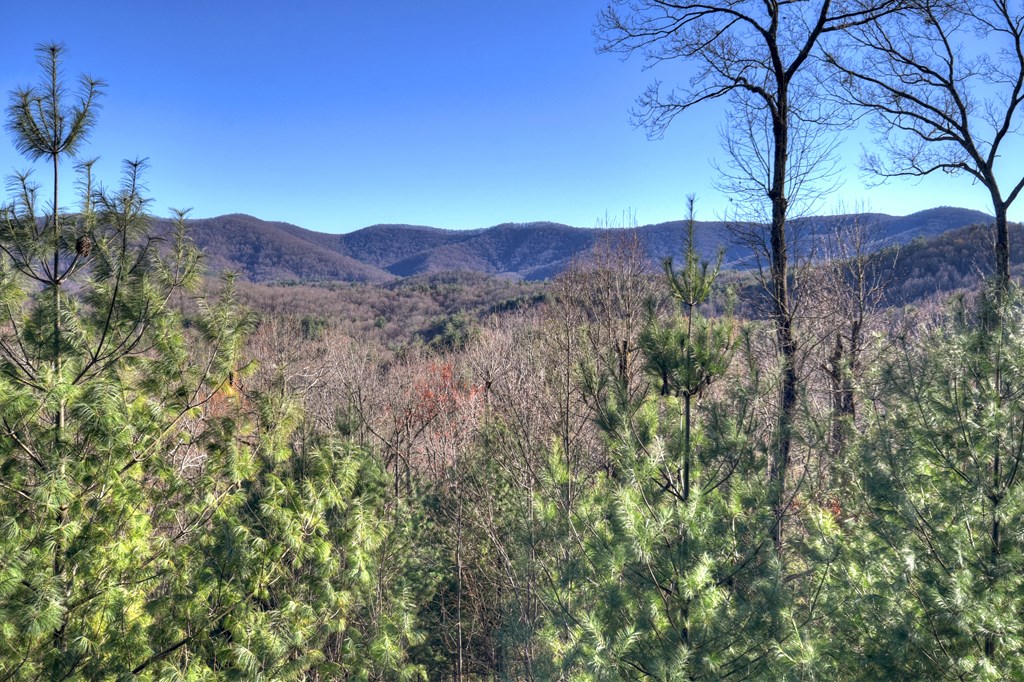 249 Settlement Road