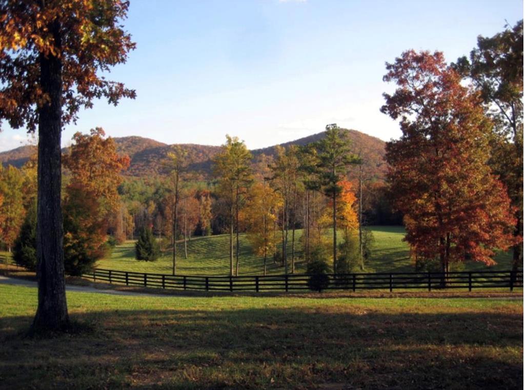 LT 14R Tanager Trail