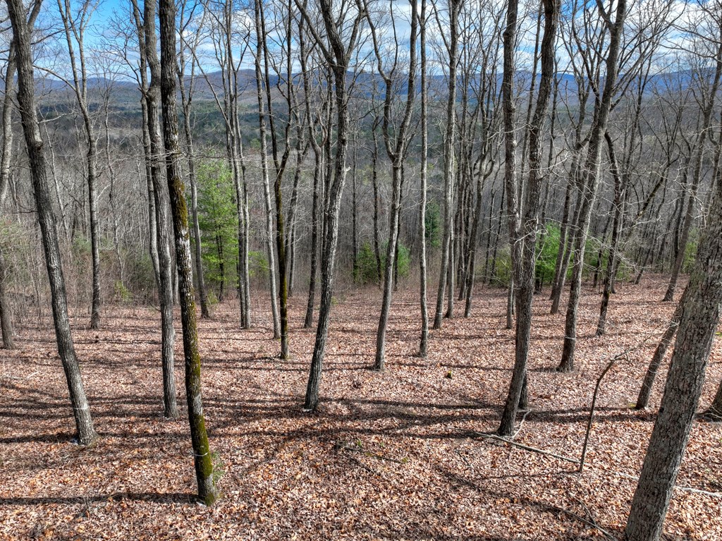 LT 14R Tanager Trail