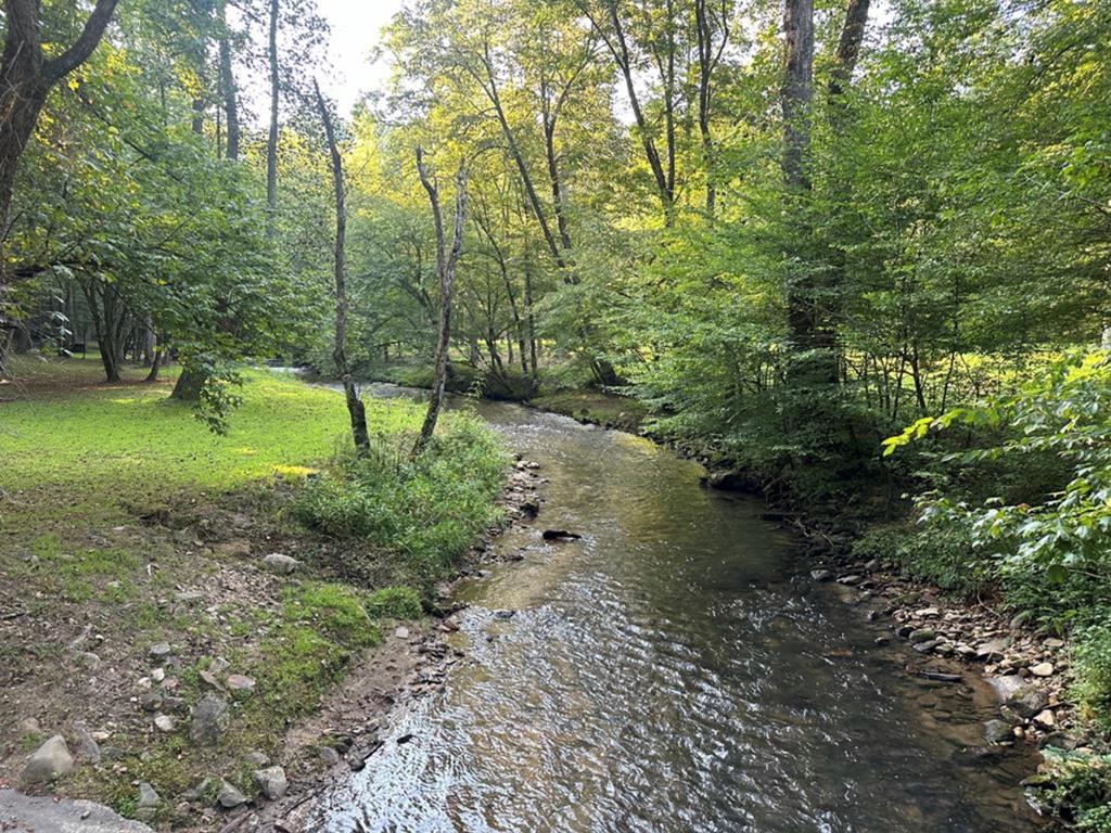 LT 14R Tanager Trail