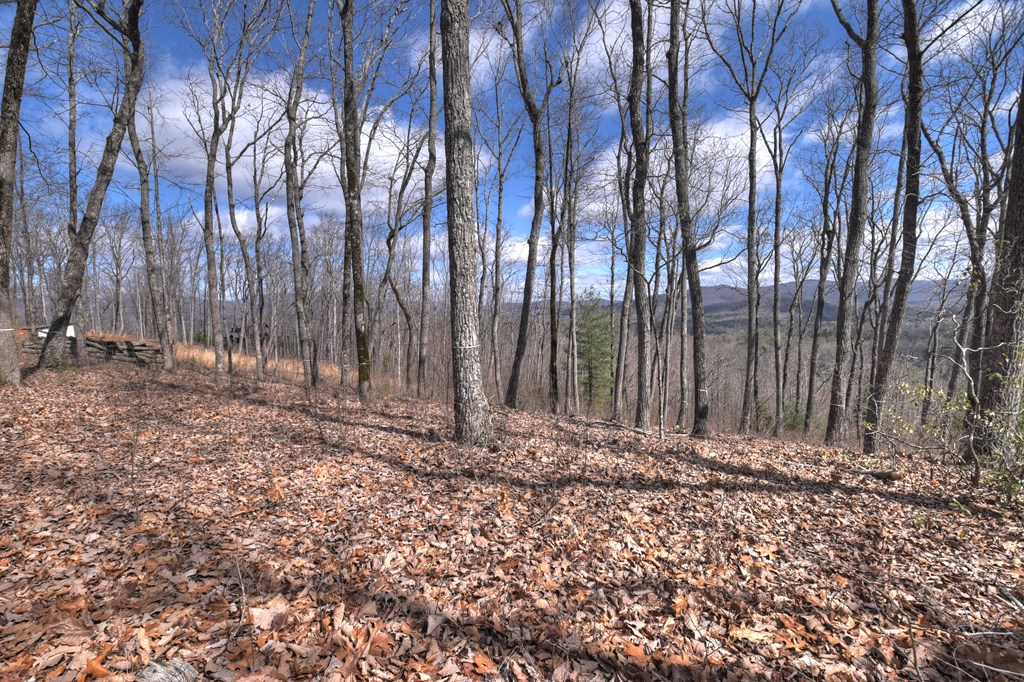 LT 14R Tanager Trail