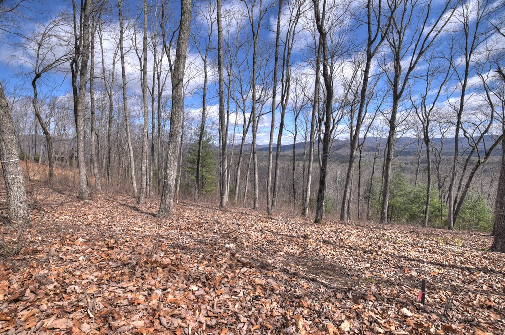 LT 14R Tanager Trail