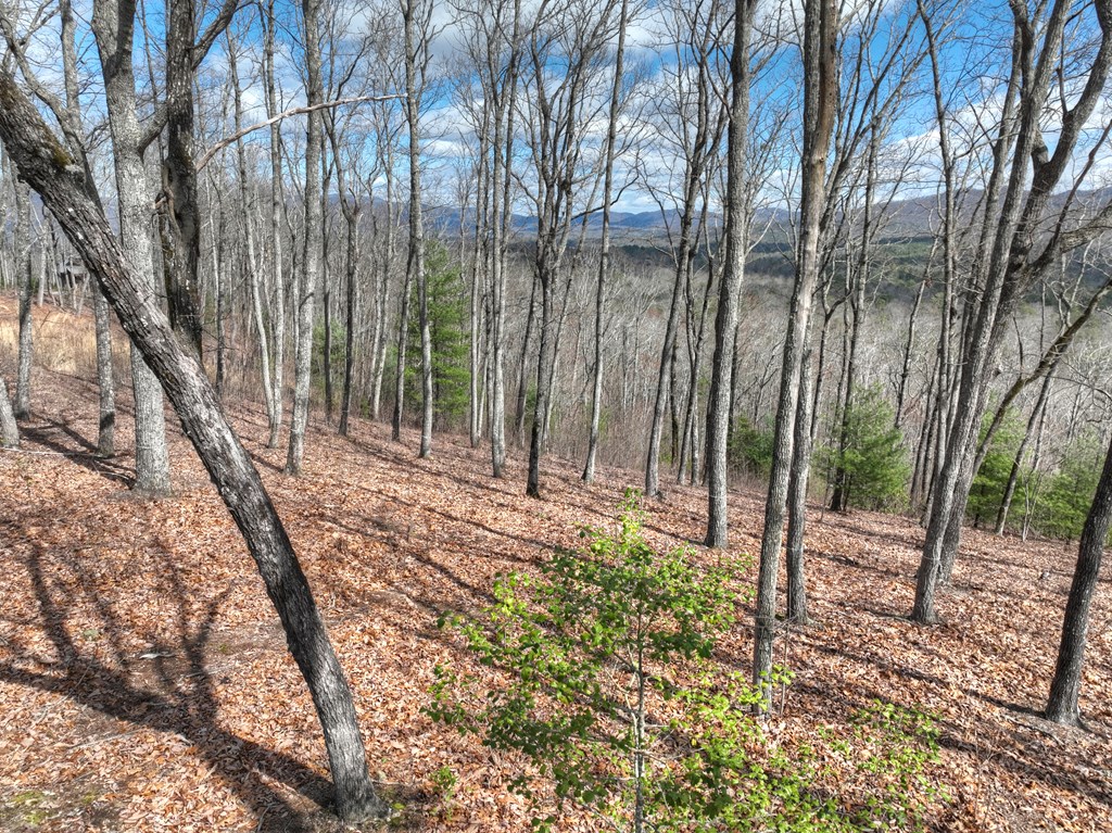 LT 14R Tanager Trail