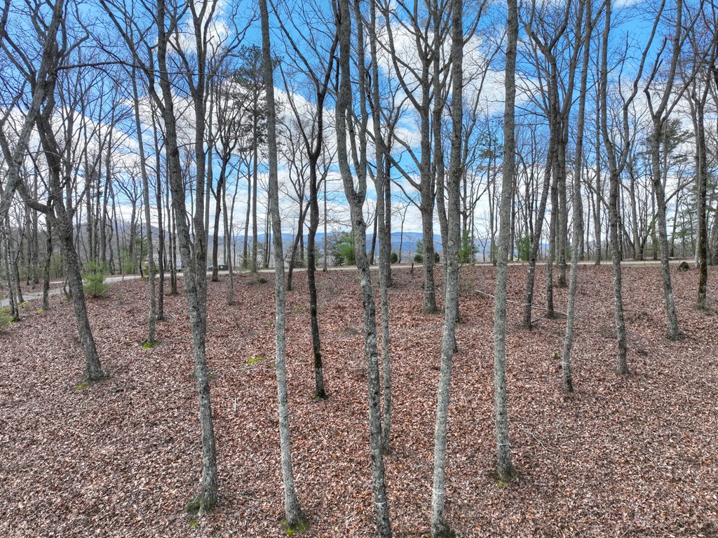 LT 14R Tanager Trail