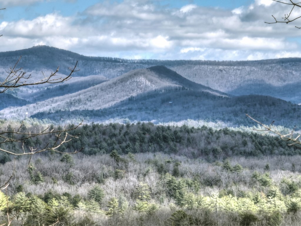 LT 14R Tanager Trail