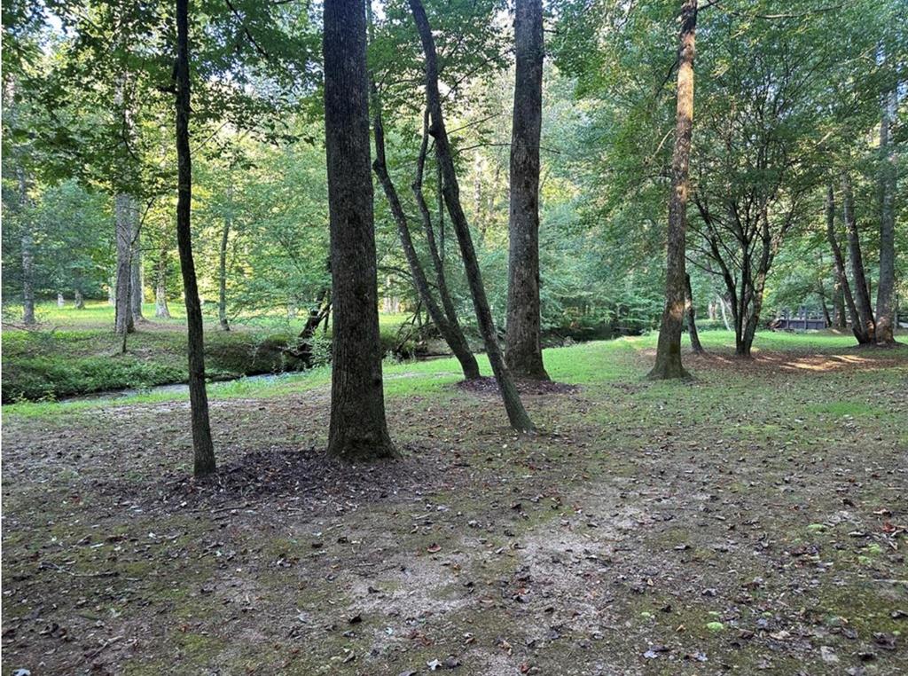 LT 14R Tanager Trail