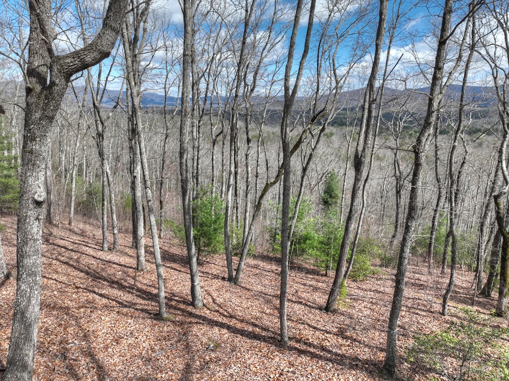 LT 14R Tanager Trail