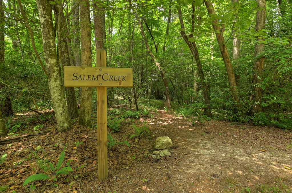 LT 14R Tanager Trail