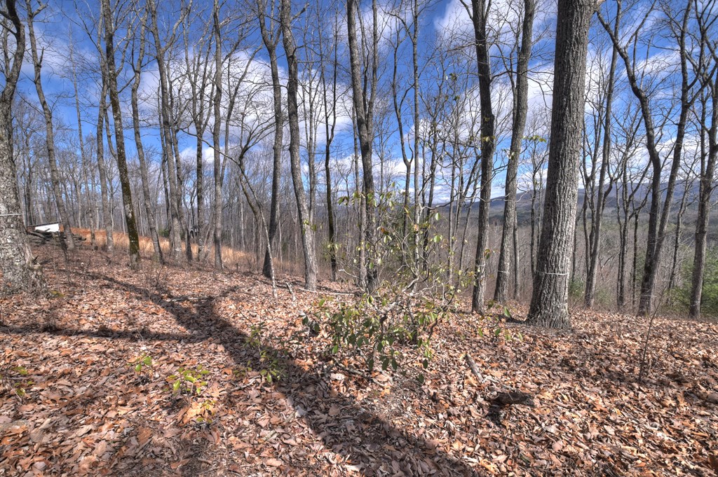 LT 14R Tanager Trail