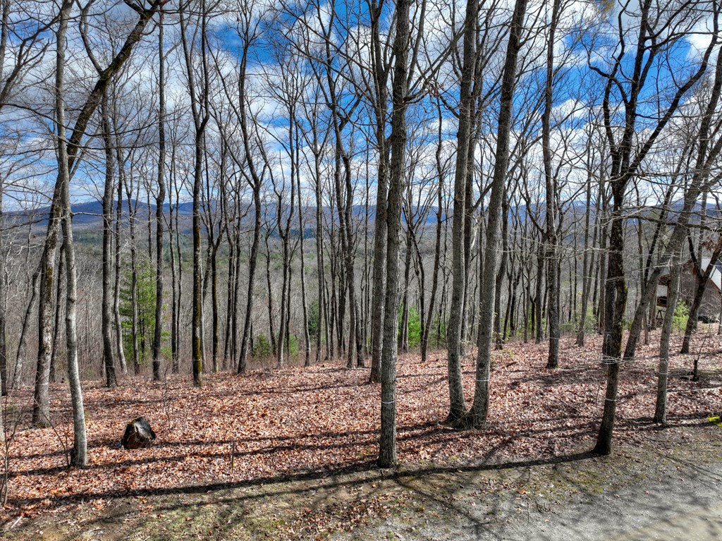 LT 14R Tanager Trail