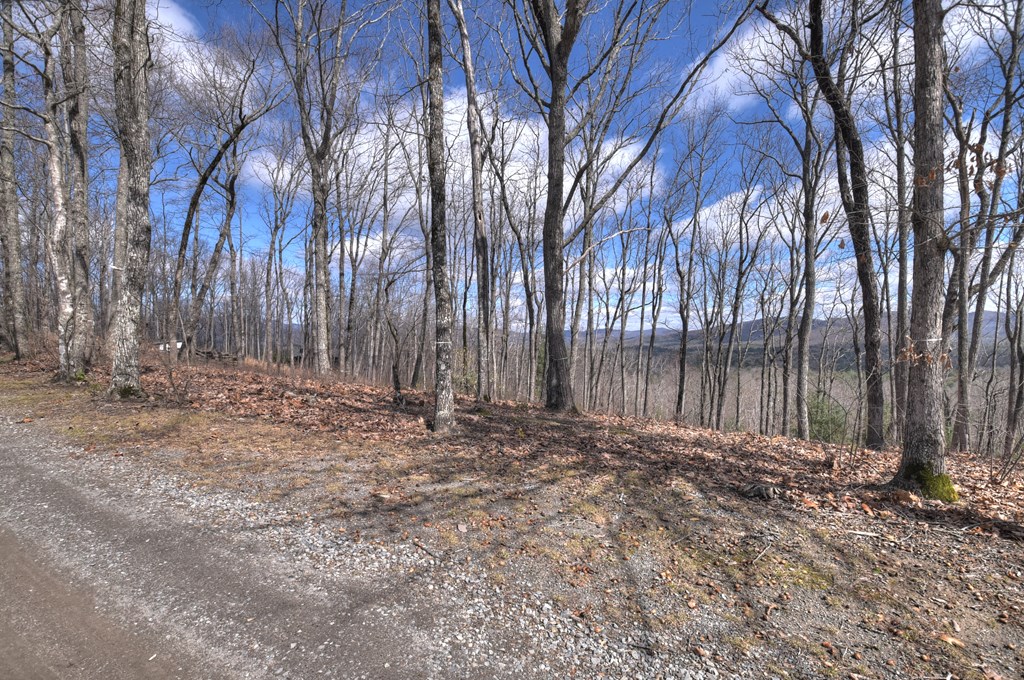 LT 14R Tanager Trail