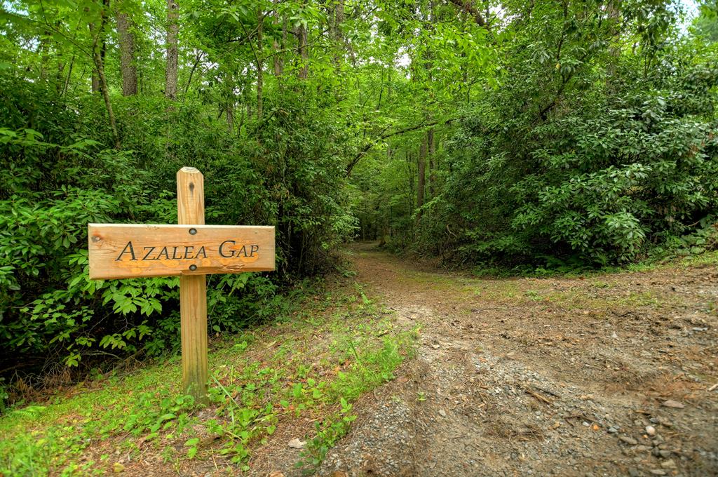 LT 14R Tanager Trail