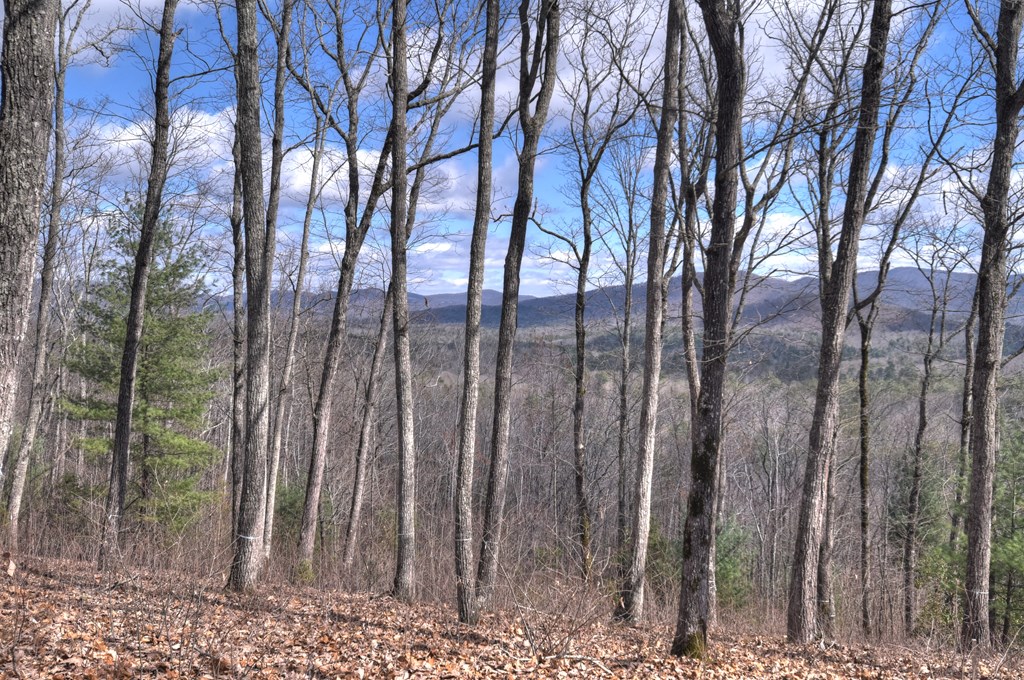 LT 14R Tanager Trail