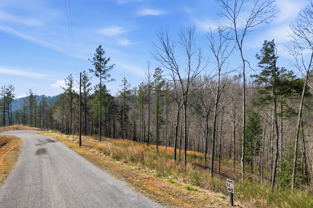 lot 239 Spear Point Dr