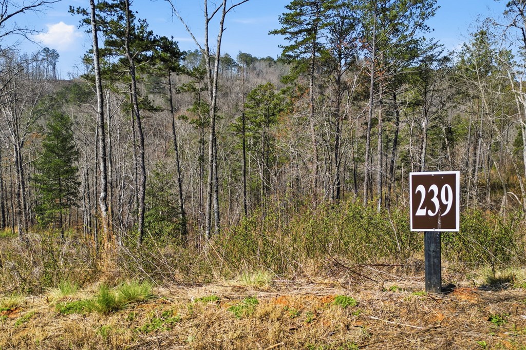 lot 239 Spear Point Dr