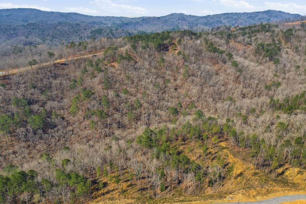 lot 239 Spear Point Dr