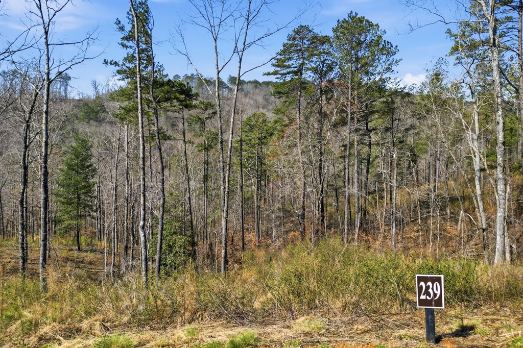 lot 239 Spear Point Dr