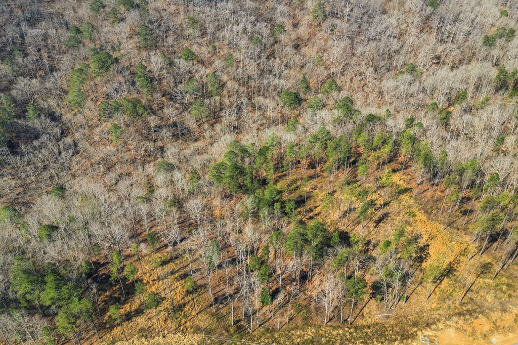 lot 239 Spear Point Dr