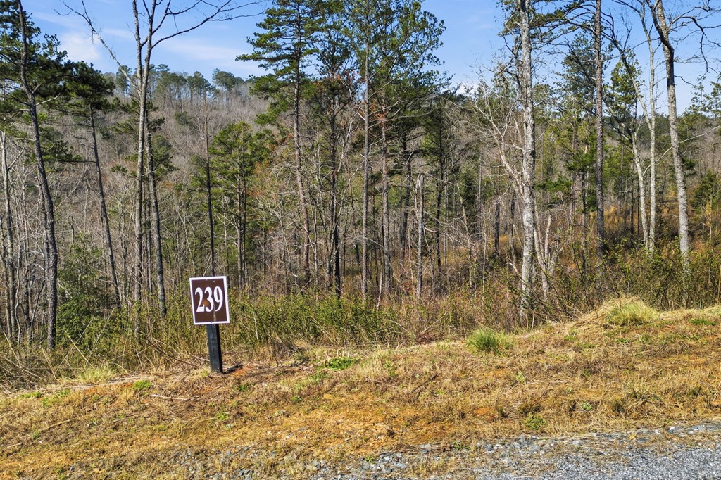 lot 239 Spear Point Dr