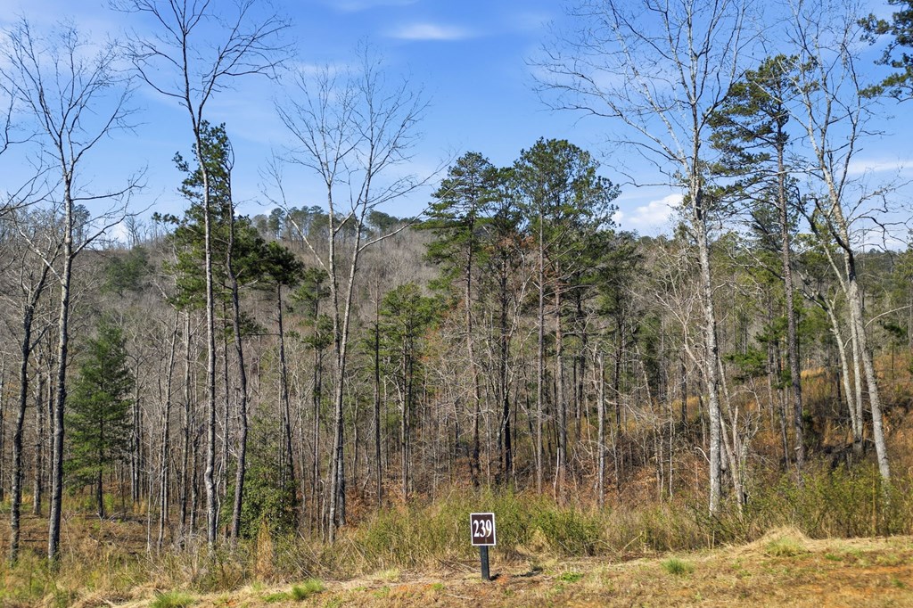 lot 239 Spear Point Dr