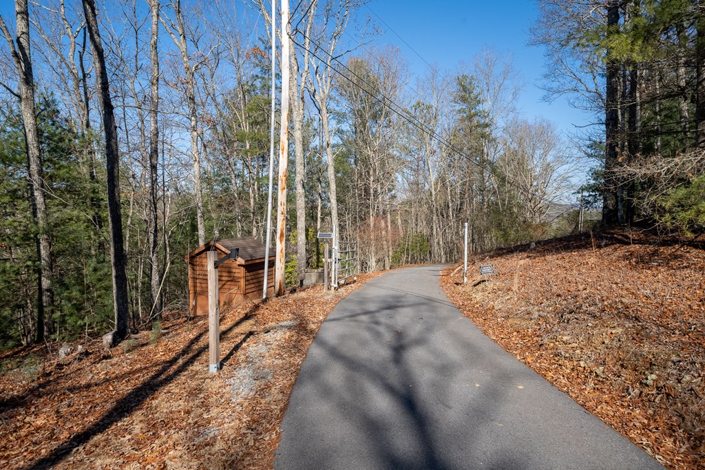 517 Ridge Road