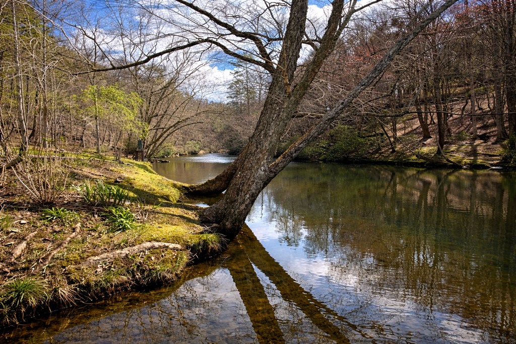 105 Riveredge Drive