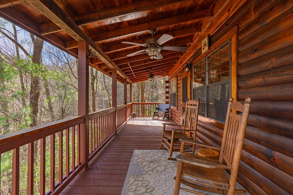 216 Pig Trail