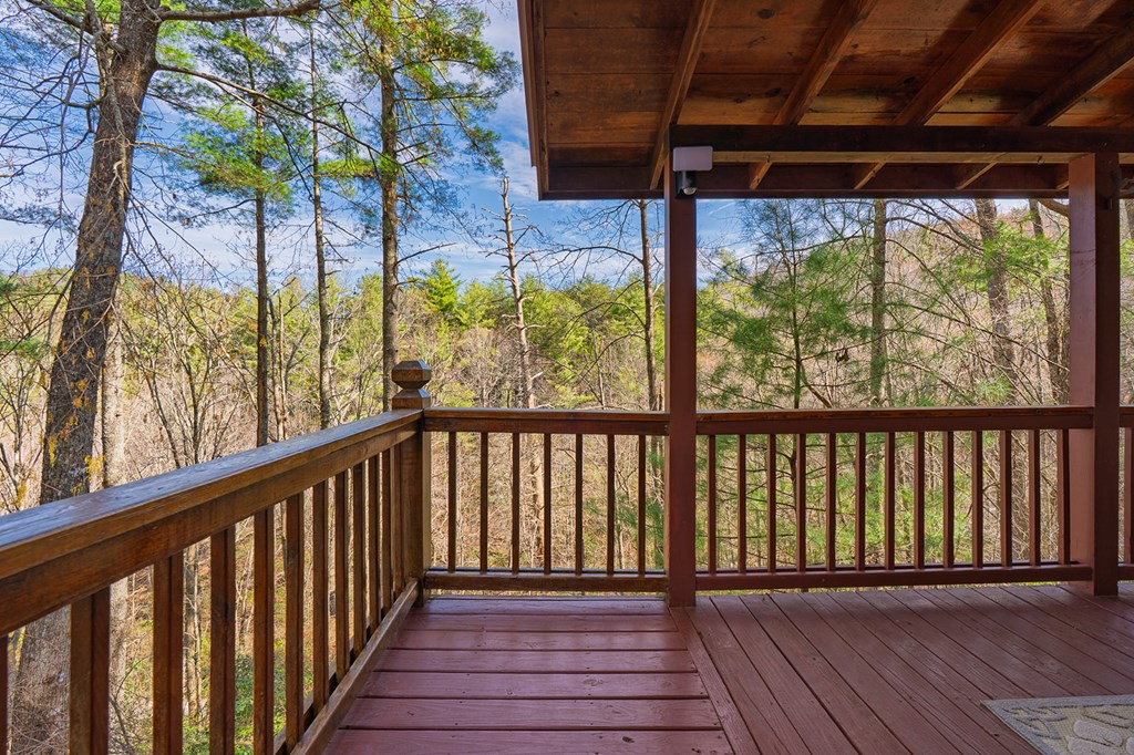 216 Pig Trail