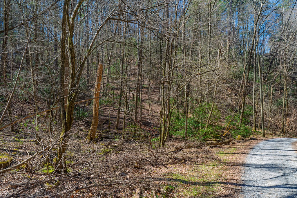 216 Pig Trail