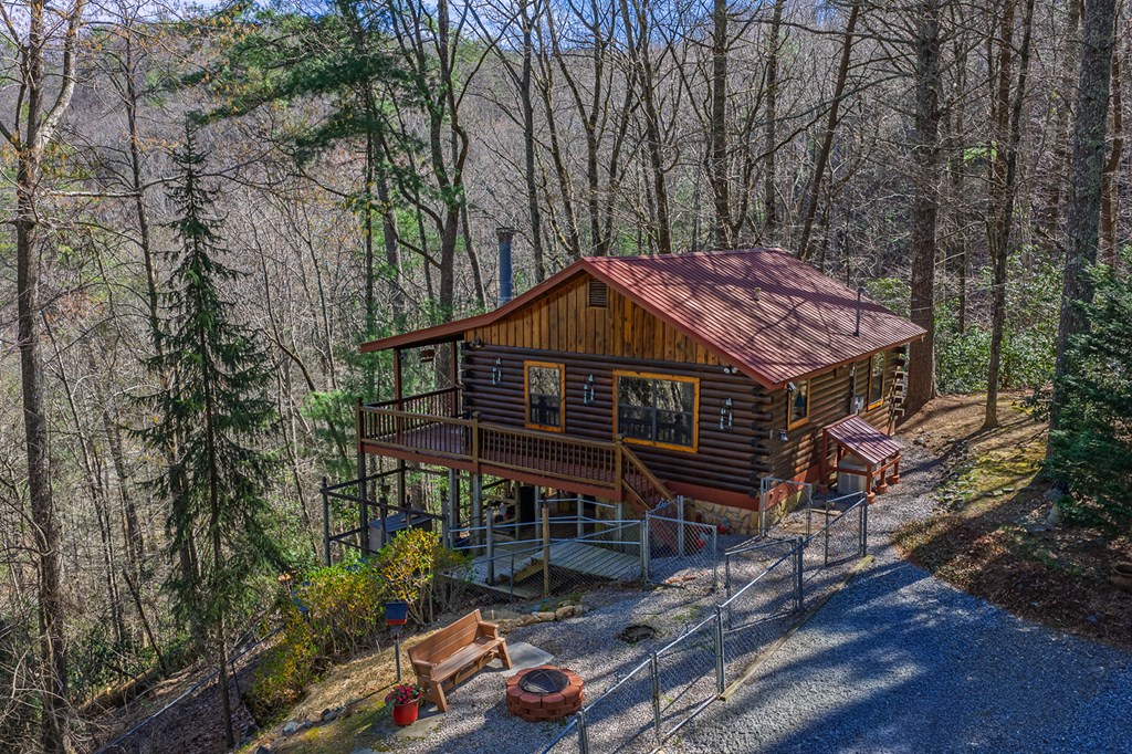 216 Pig Trail