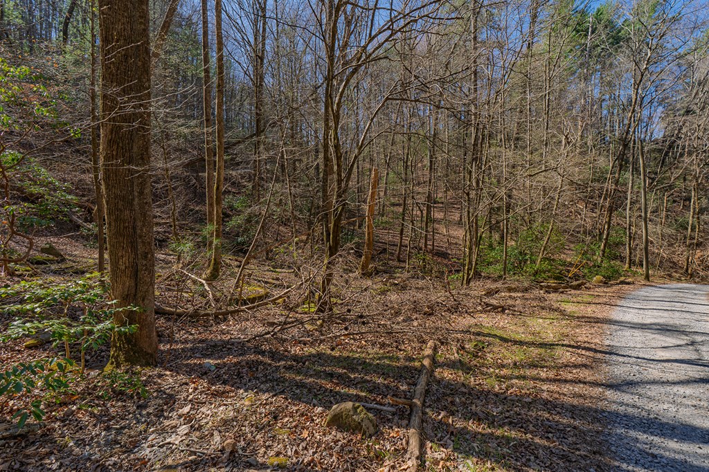216 Pig Trail
