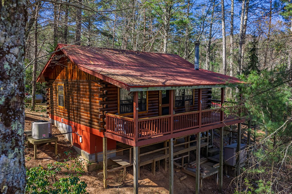 216 Pig Trail