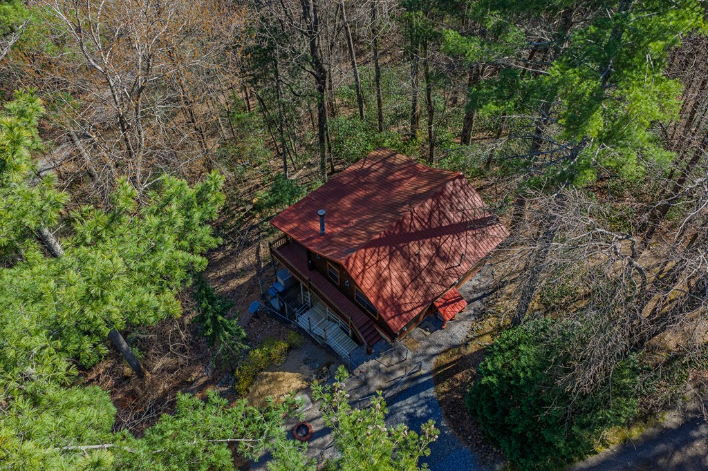 216 Pig Trail